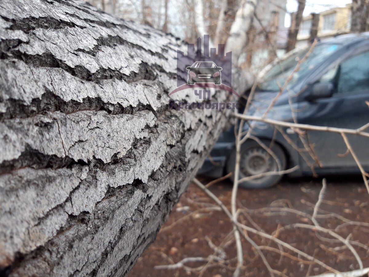 Фото: vk.com/kraschp 