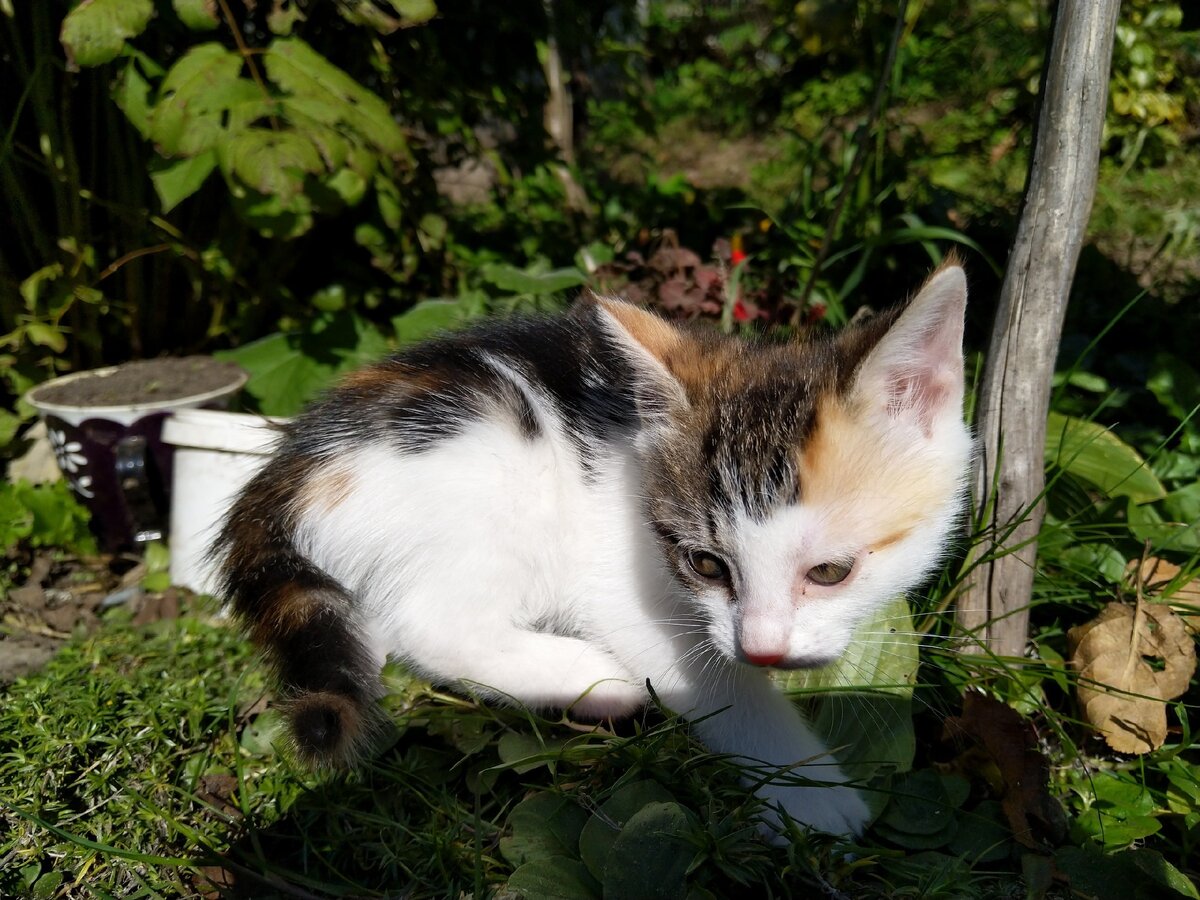 Фото автора истории. 