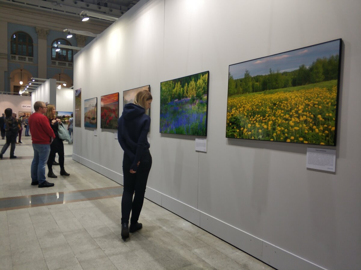 Выставки в москве первозданная россия
