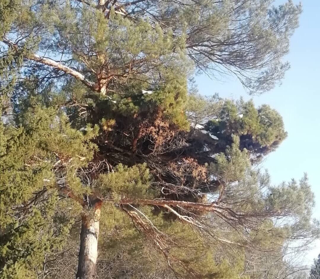 Это фото сделано зимой