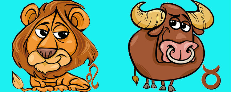 Фото из открытого источника