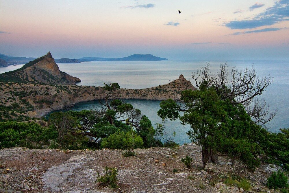 Заказник новый свет Крым