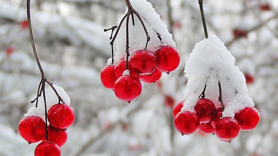 Из открытых источников