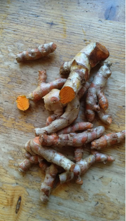 Источник бодрости и  витаминов