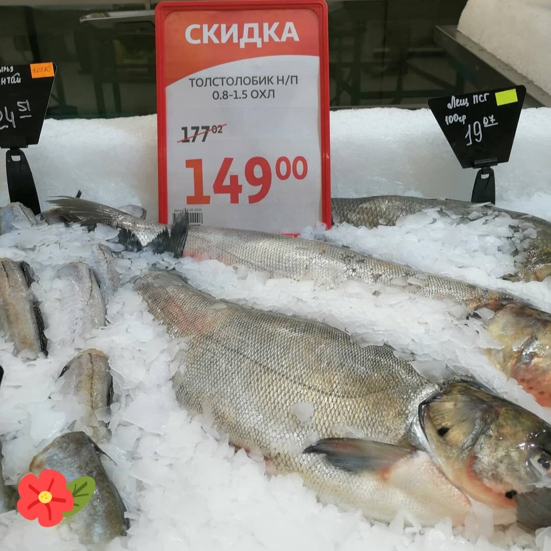 Почему рыба дороже мяса. Почему рыба дороже мяса. Рыбный рынок в новосибирске. Рыба замороженная ашан. Рыбный рынок.