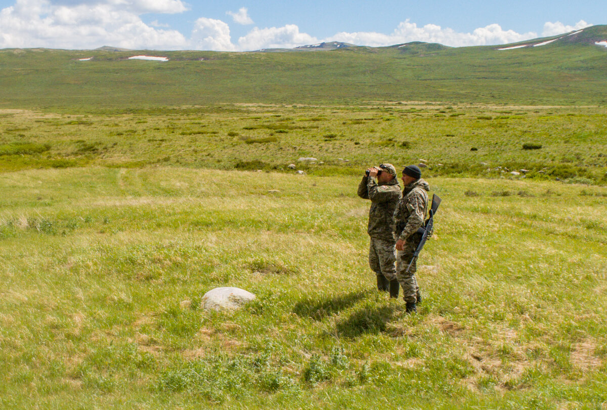 Оперативная группа Алтайского заповедника в естественной среде обитания