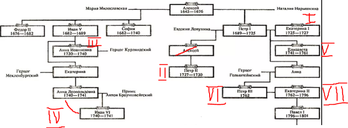 Часть генеалогического древа династии Романовых. Порядок правления в эпоху дворцовых переворотов.