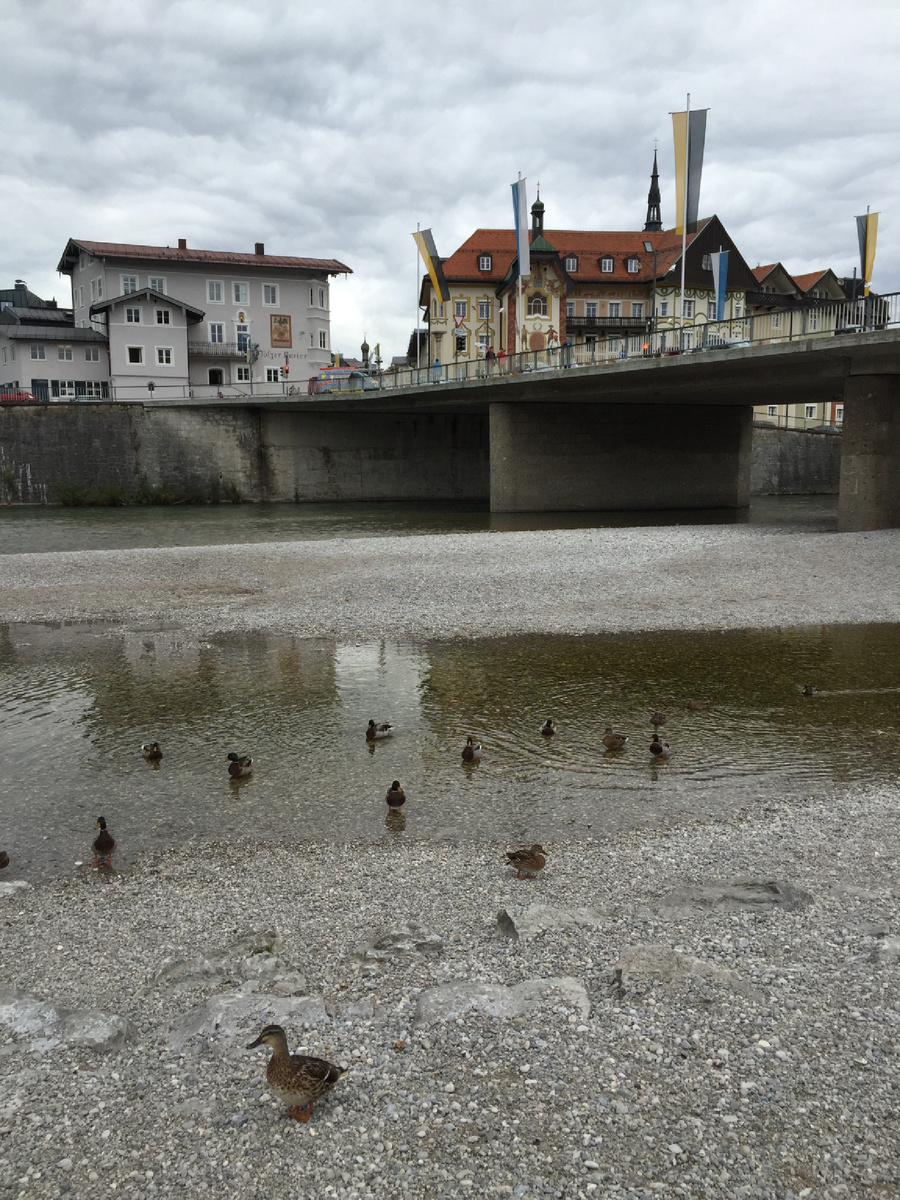 Фото сделано автором и принадлежит автору