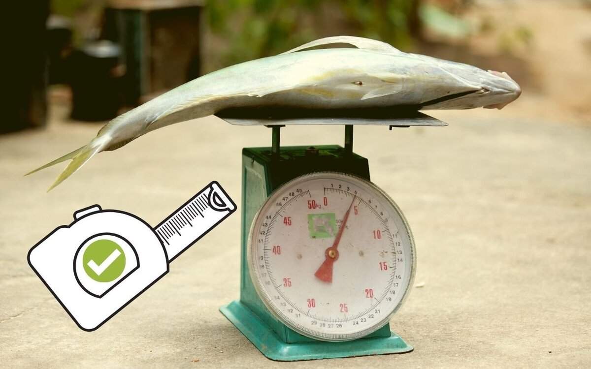 Фото из источников