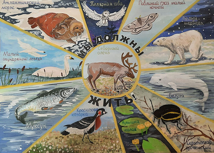 Сидорова София, 9 лет. «Мы должны жить!».
Россия, Ямало-Ненецкий автономный округ, посёлок Тазовский.