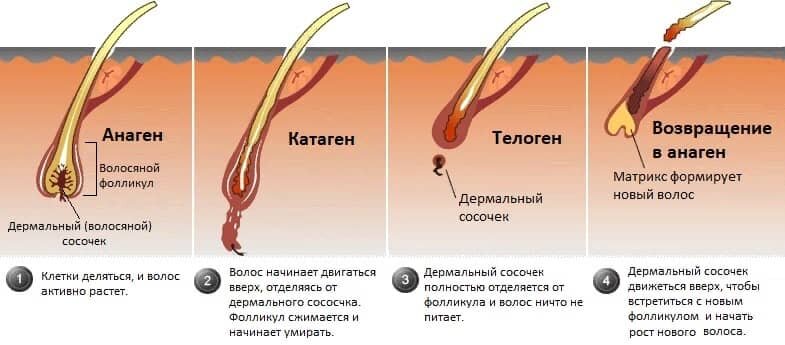 Этапы дизайна волос