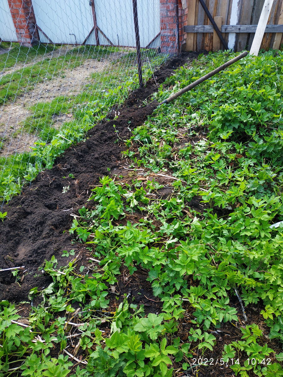 передний двор