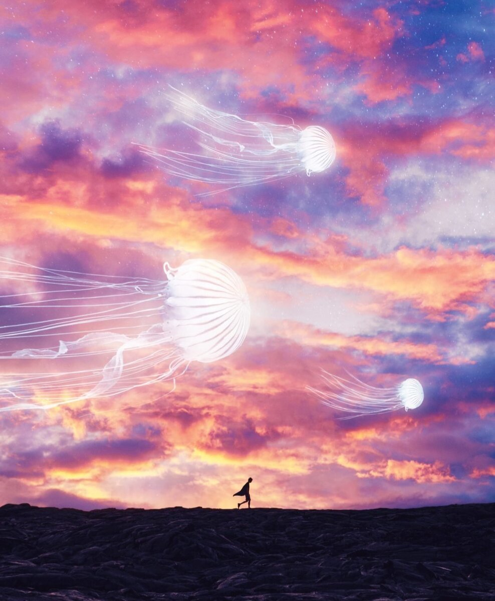 Источник фото: Яндекс. Картинки 