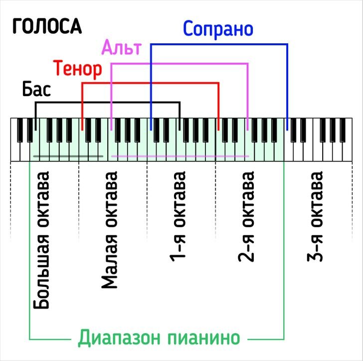 Басовый голос