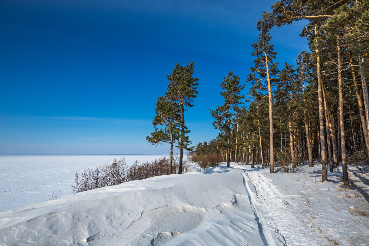 Бердск море