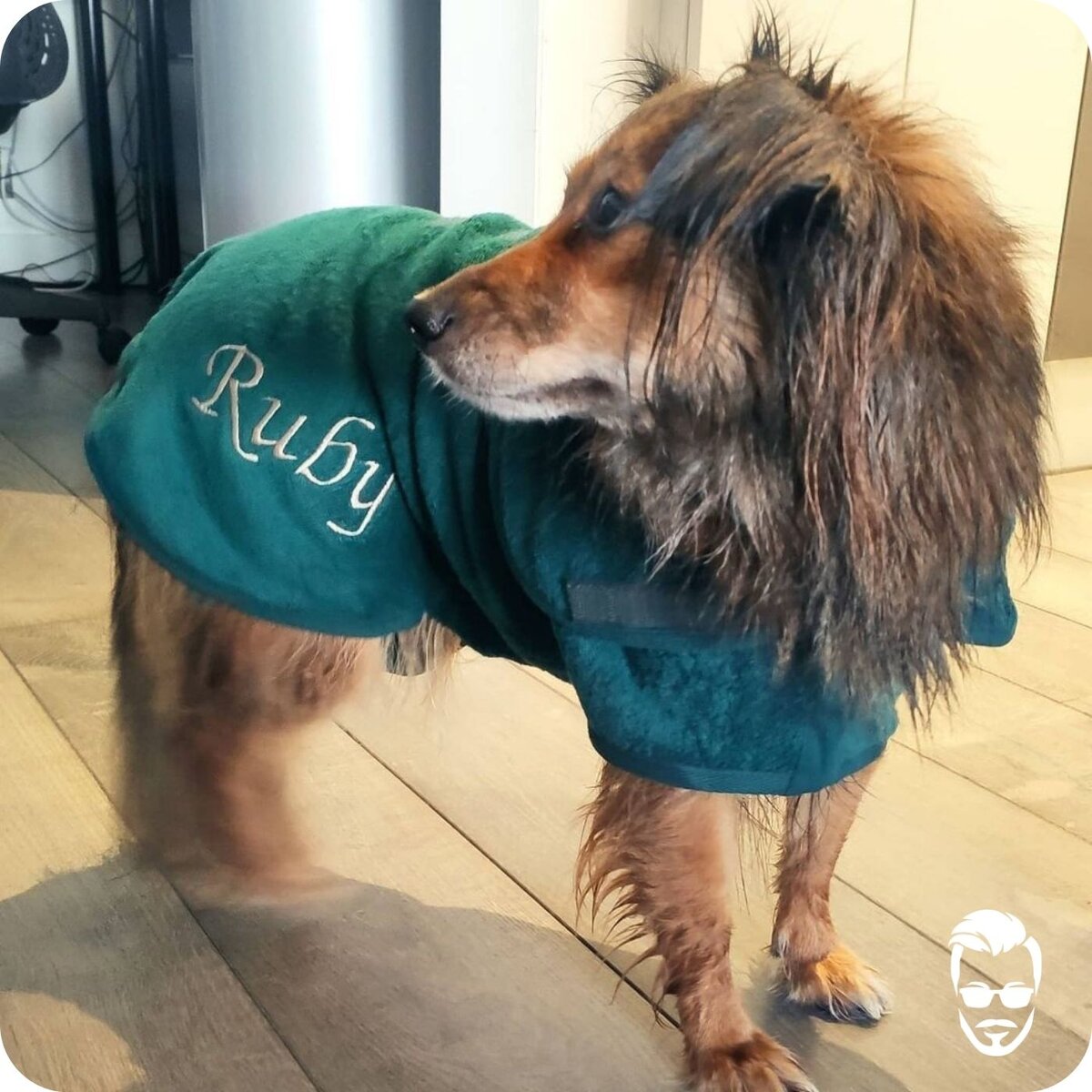 Руби, собака-спасатель 