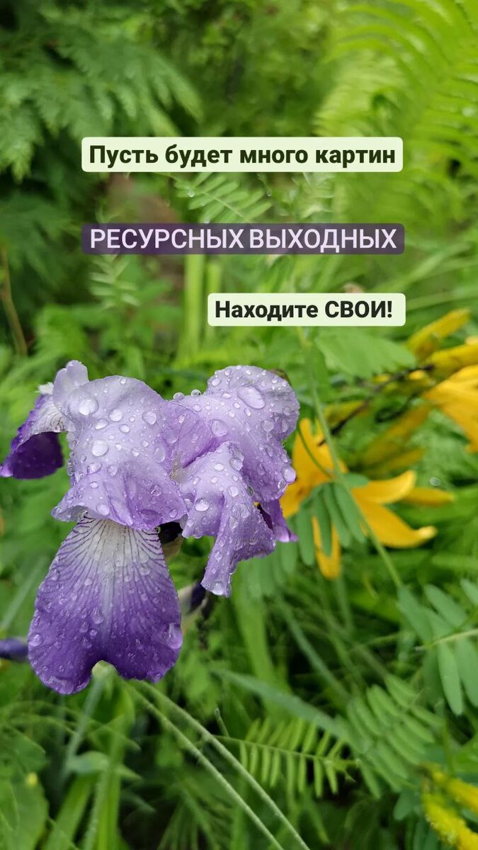 Находить свои краски