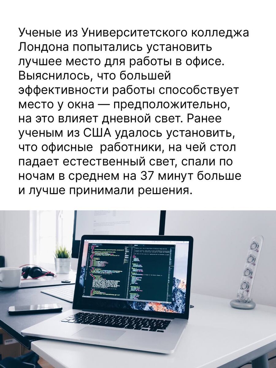 Лучшее место для работы в офисе: как его найти? Рассказывают ученые | Men  Today | Дзен