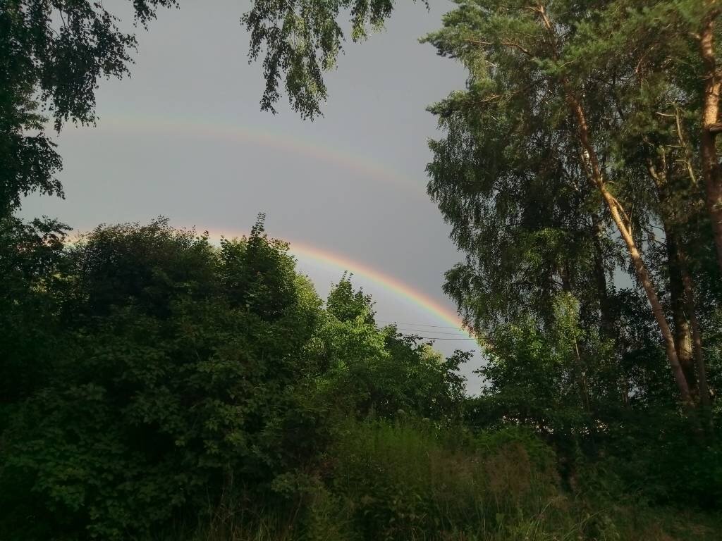 А вот радуга - настоящая, к тому же двойная. Фото прямо с моего участка в "Домике в деревне".