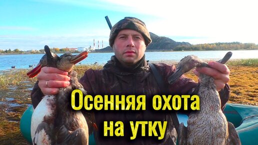 охота на уток: 1 тыс. видео найдено в Яндексе