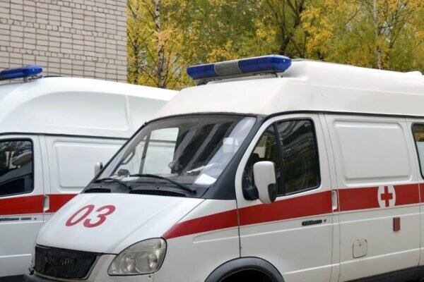    Фото: pixabay.com