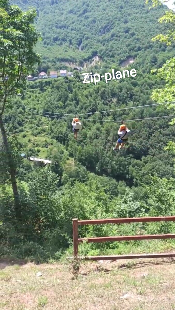 Фото снято автором канала КотоСобака