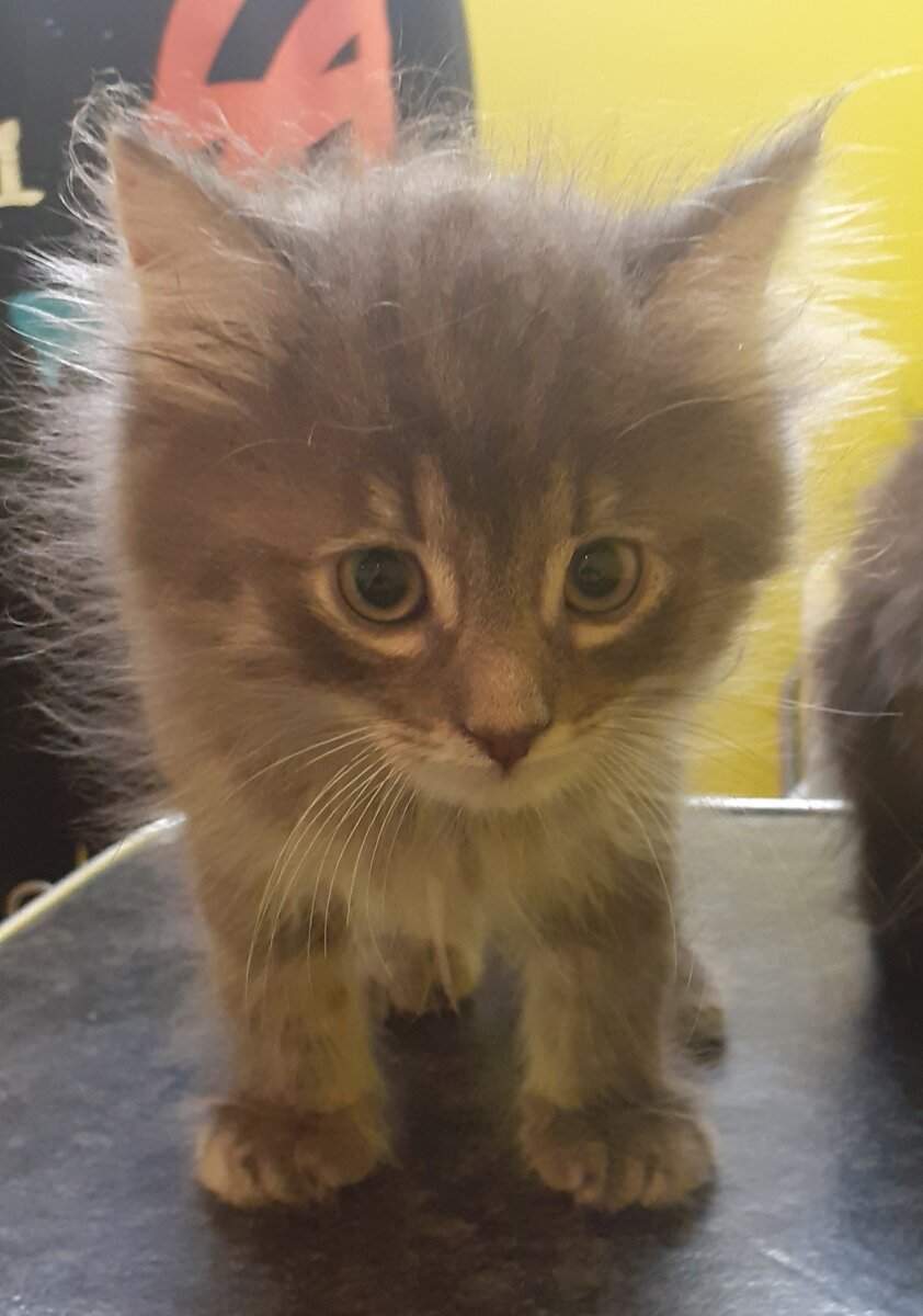 Уже полностью здоров