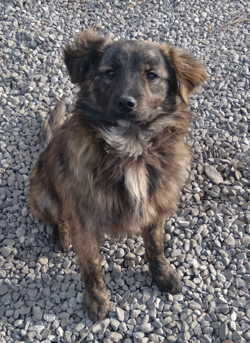 Сестрёнку уже не спасти 