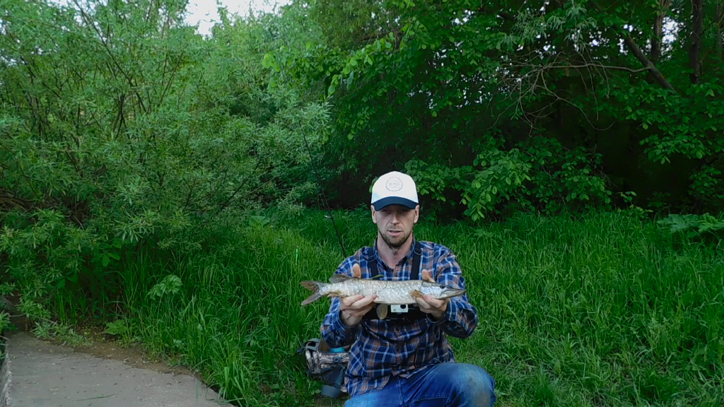 Щука в черте города на Воблер Akara Zinger 60.