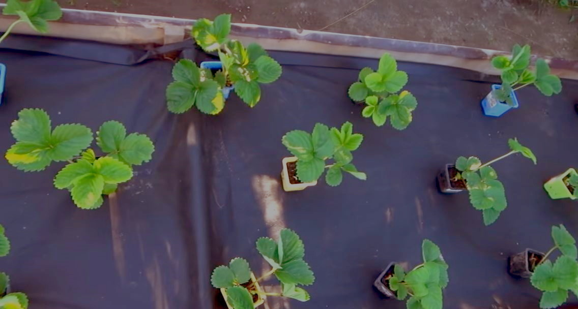 Подготовка к посадке