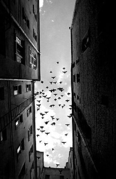 Фото с сайта: https://ru.pinterest.com/pin/791226228304394854/, автор: zoenewlove.com Sunday Musings | Mindfulness - Zoe Newlove