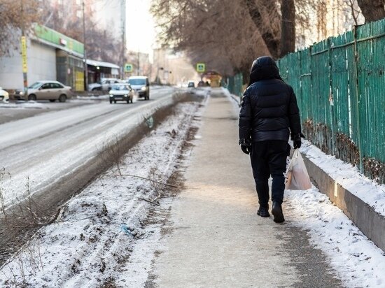     Фото: Густаво Зырянов / "МК в Новосибирске"