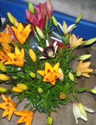 Букет из азиатских лилий и ЛА-гибридов