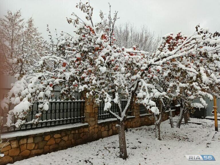    В Оренбуржье днем 30 января ожидается туман, изморозь и до — 10 градусов мороза Андрей Севостьянов