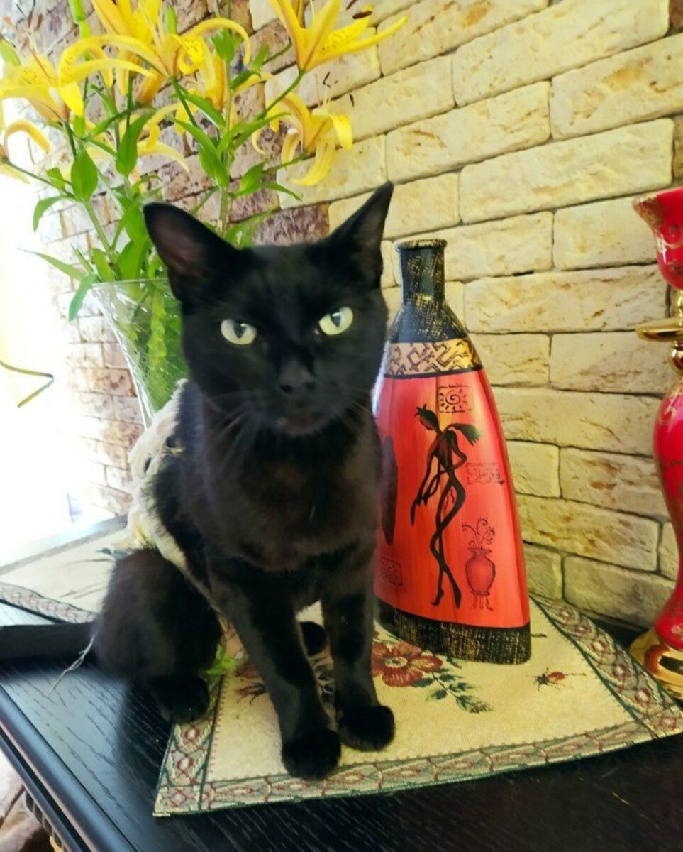 и как можно было не взять такую красоту?