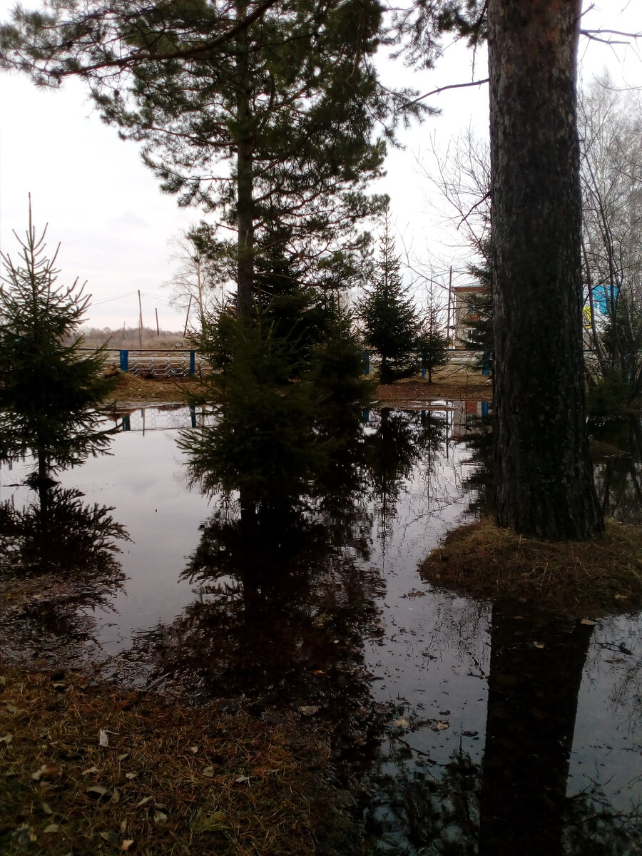 Из личного архива. Томская область. Деревня Нарга.