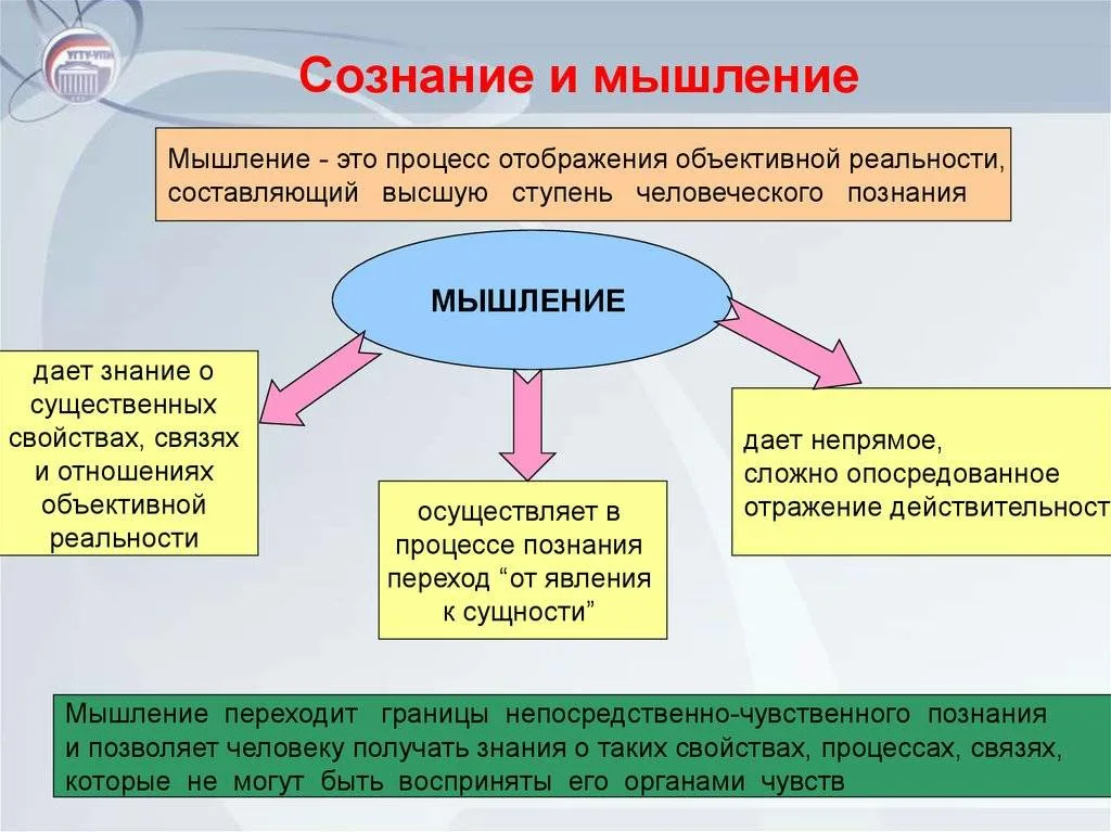 Отражает явления действительности и их взаимосвязи это осмысленная автором картина мира