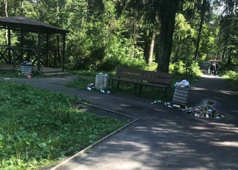 Скандик парк петрозаводск
