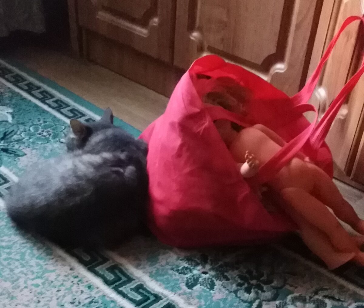 Охраняет мои сокровища 