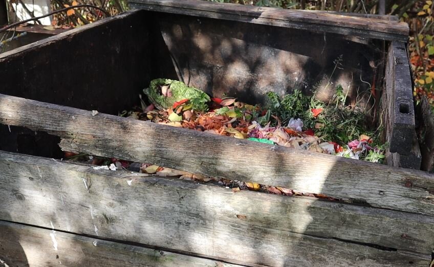 Компостная куча в августе.