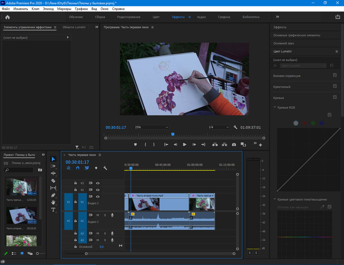 Монтаж видео в программе Adobe Premiere Pro. Процесс создания фильма |  Творческая Студия Елены Тюриной Пастель и Акварель | Дзен