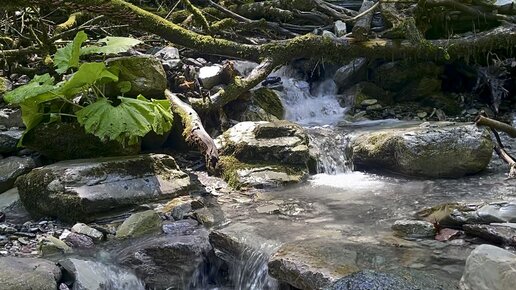 Звуки природы, горный ручей, в горах Сочи