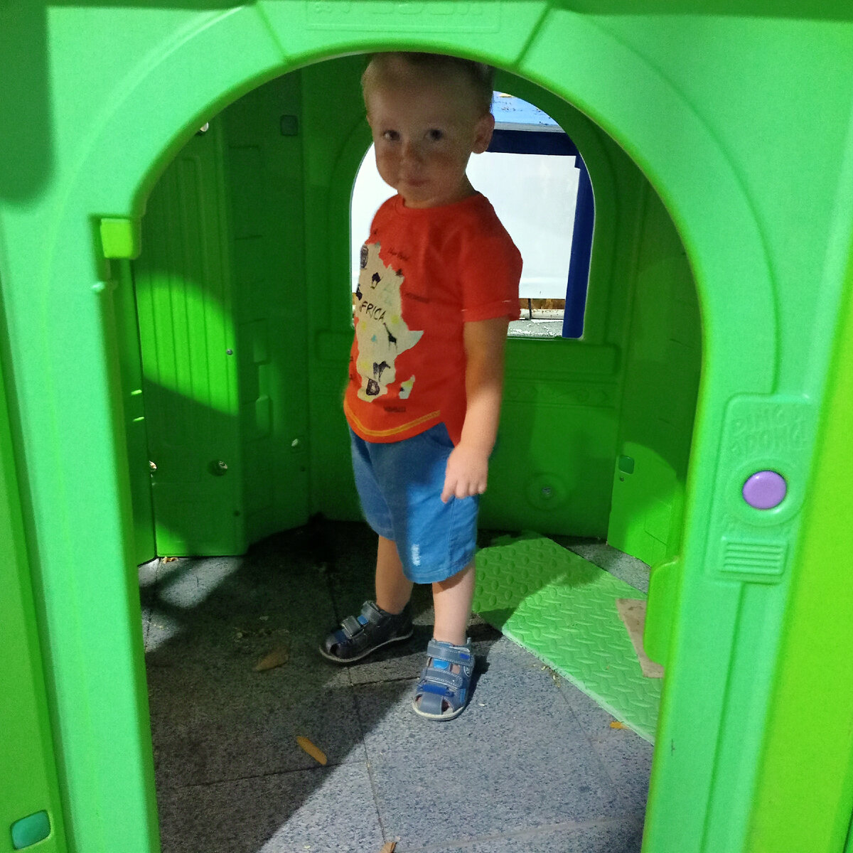 3 дня дома просидели, чуть с ума не сошли, фото автора 