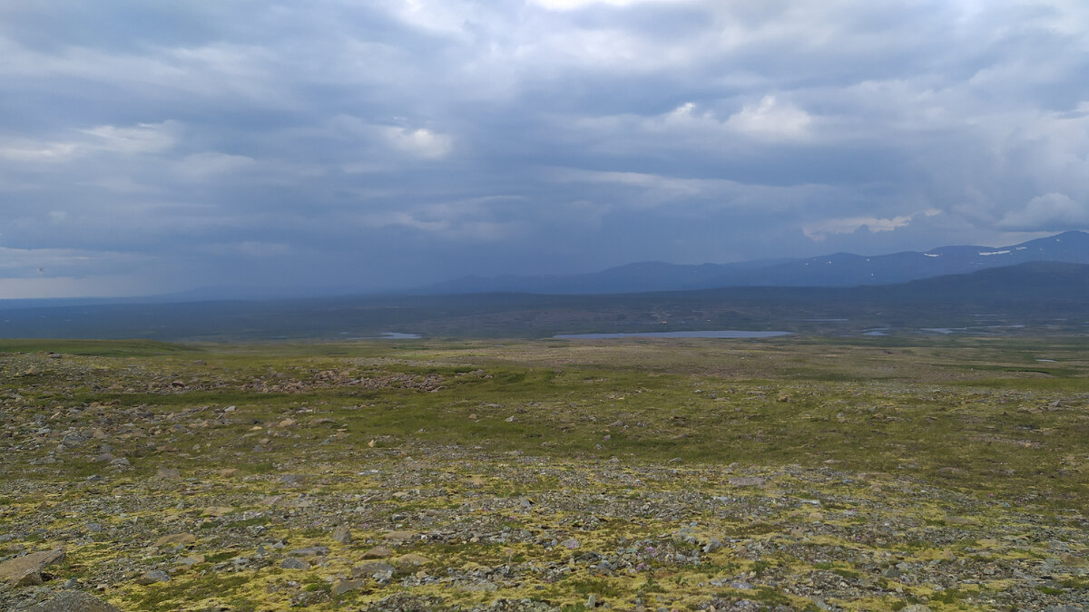 Тундра село Никольское