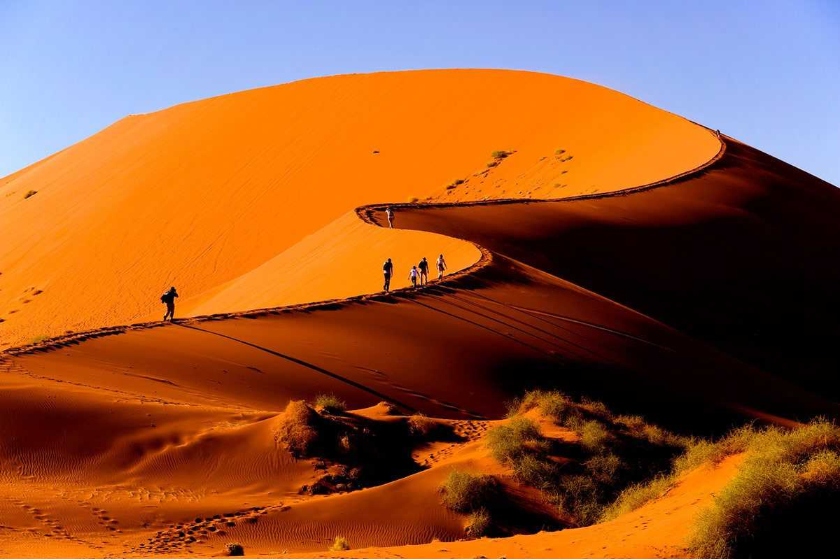Дюна интересные факты. Намибия пустыня Намиб. Пустыня Намиб дюны. Дюны Соссусфлей. Парк пустыня Намиб.