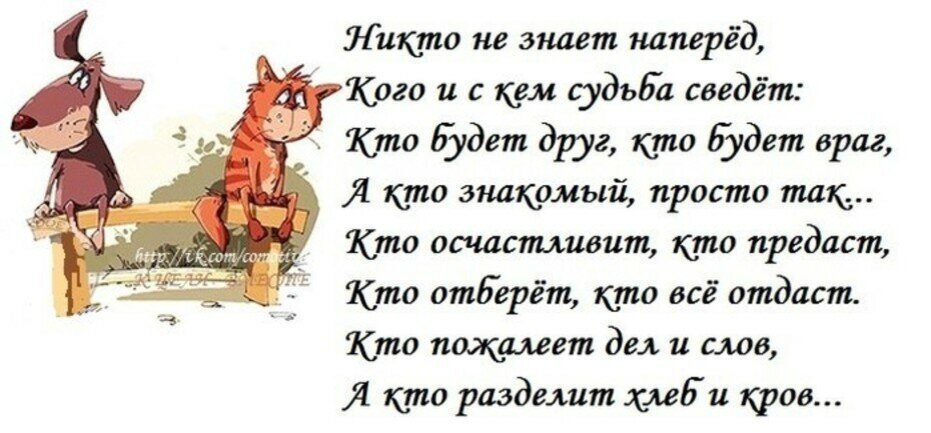 Короче друг. Стихи о жизни прикольные. Фразы со смыслом. Смешные стихи о жизни со смыслом. Прозы про жизнь