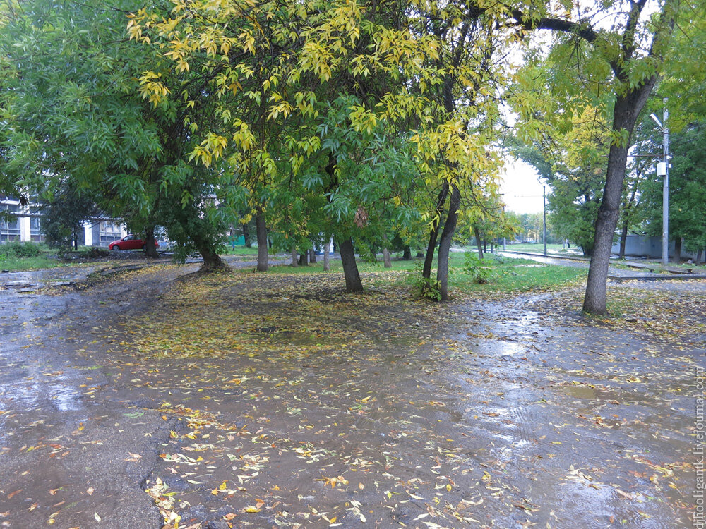 2013 год