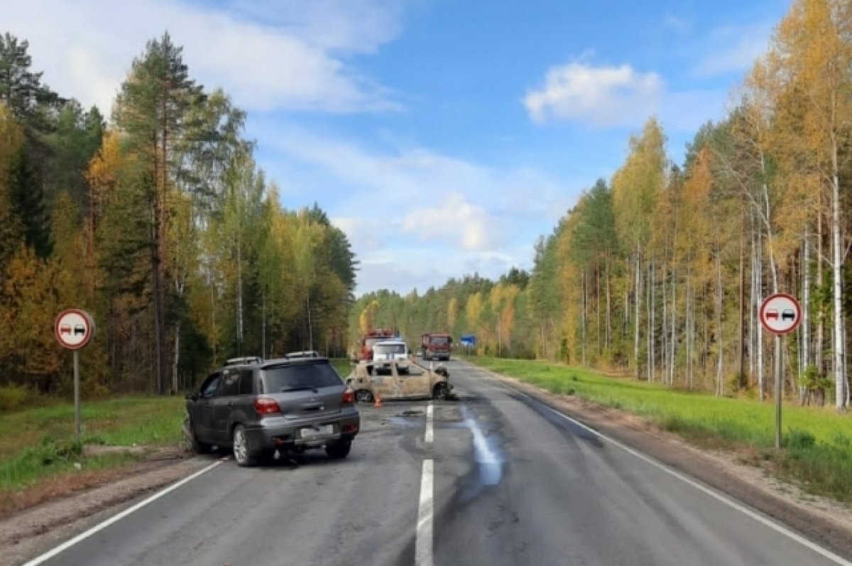 Водитель из Тулы может быть виновен в гибели пожилой архангельской автоледи  | АиФ–Тула | Дзен