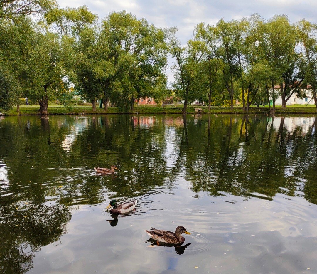 Пруд перед входом в усадьбу