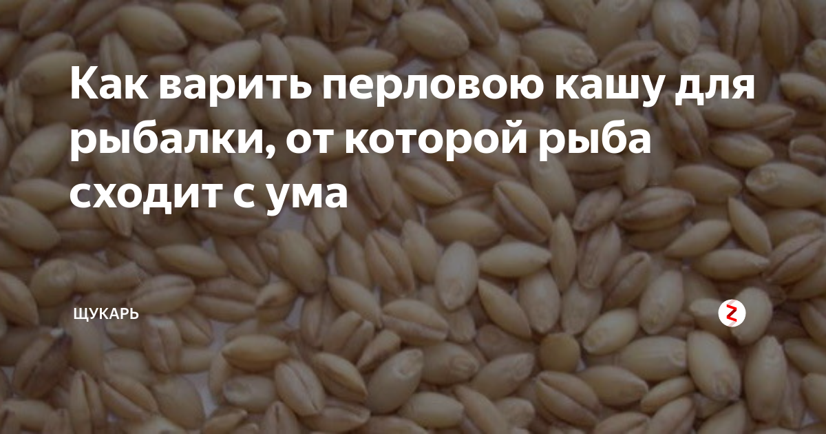 Как правильно сварить перловку на карася. Перловая каша для рыбалки. Перловка для рыбалки. Перловка наживка. Сколько варить перловку.